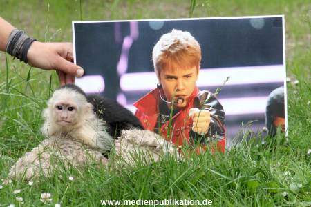 Mally 26062013 108
