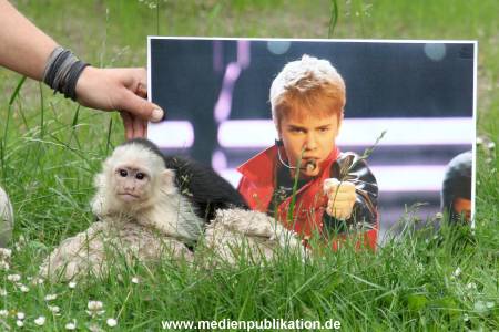 Mally 26062013 109