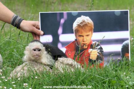 Mally 26062013 111