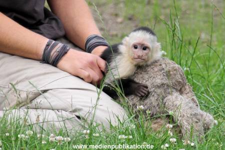 Mally 26062013 114