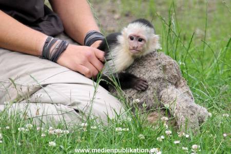 Mally 26062013 115