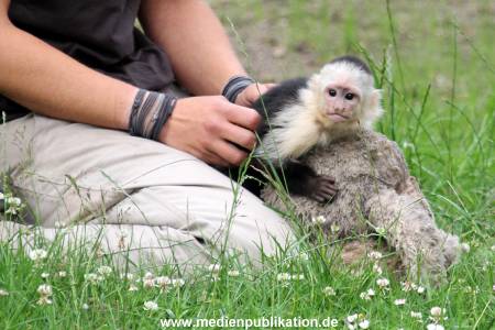 Mally 26062013 116