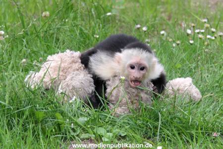 Mally 26062013 117