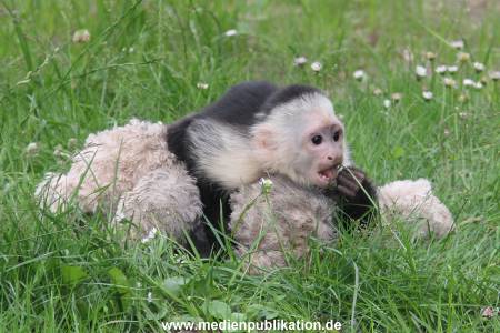 Mally 26062013 118