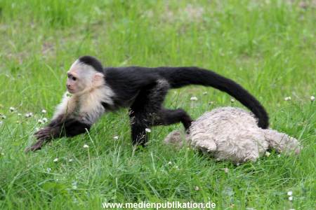 Mally 26062013 120