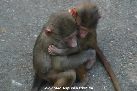 hagenbeck 05 03 008