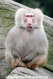 hagenbeck 19032005 002