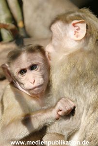 hagenbeck 20032005 019