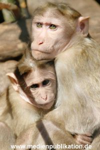 hagenbeck 20032005 020