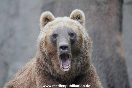 Hagenbeck 01082015 018
