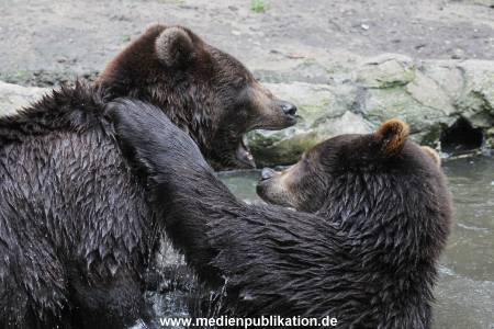 Hagenbeck 01082015 019