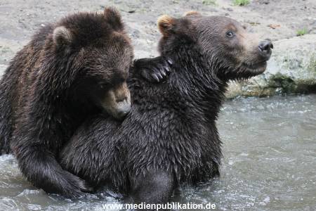 Hagenbeck 01082015 020
