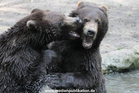 Hagenbeck 01082015 021