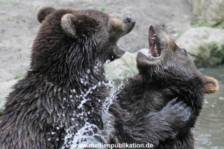 Hagenbeck 01082015 022
