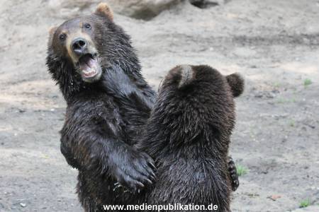 Hagenbeck 01082015 023