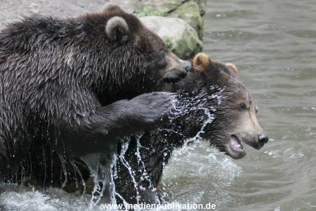 Hagenbeck 01082015 024