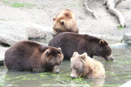 Hagenbeck 01082015 057