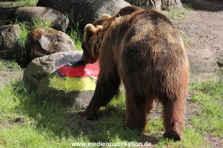 Hagenbeck 06072016 001