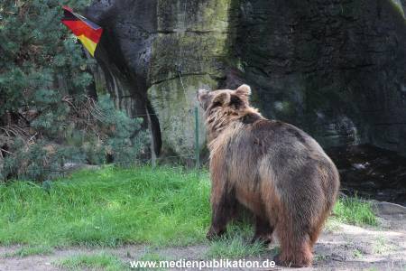 Hagenbeck 06072016 003
