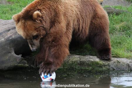 Hagenbeck 06072016 004