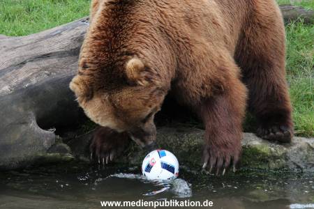 Hagenbeck 06072016 006