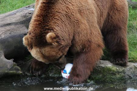 Hagenbeck 06072016 007