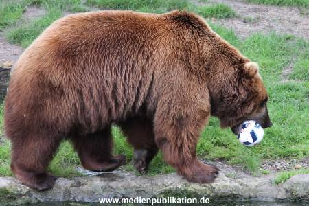Hagenbeck 06072016 008