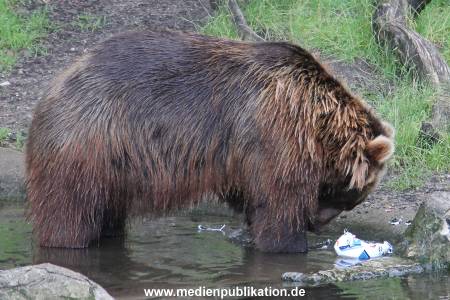 Hagenbeck 06072016 009