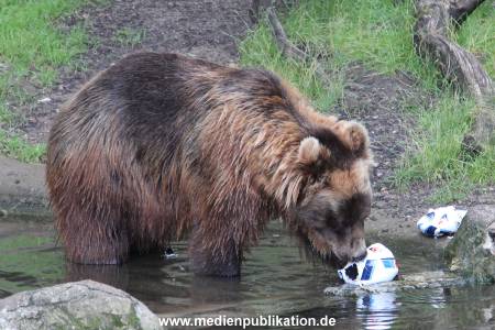 Hagenbeck 06072016 012