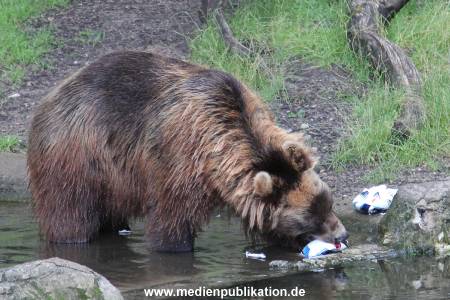 Hagenbeck 06072016 013