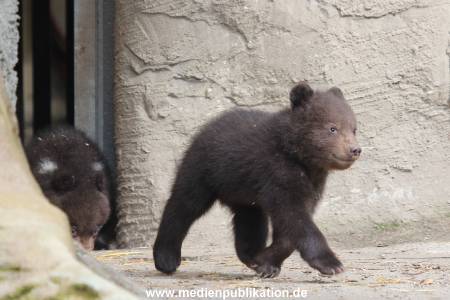 Hagenbeck 11042014 032