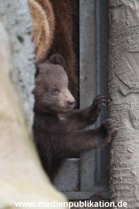 Hagenbeck 11042014 033
