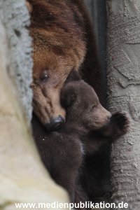 Hagenbeck 11042014 035