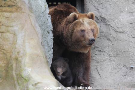 Hagenbeck 11042014 037
