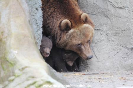 Hagenbeck 11042014 039