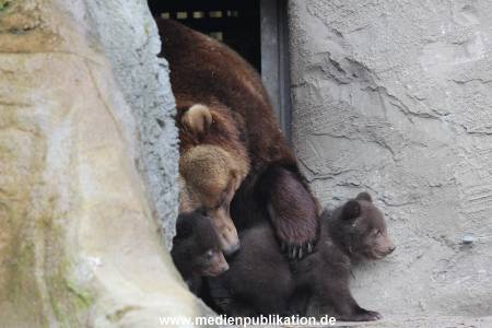 Hagenbeck 11042014 040