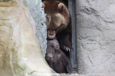 Hagenbeck 11042014 041