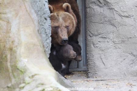 Hagenbeck 11042014 042