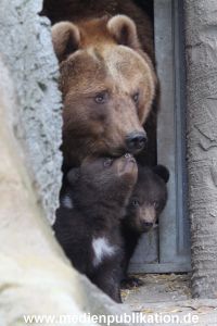 Hagenbeck 11042014 043