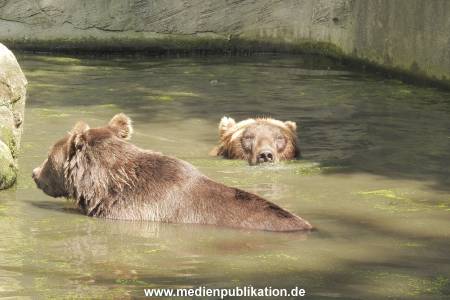 Hagenbeck 122016 033