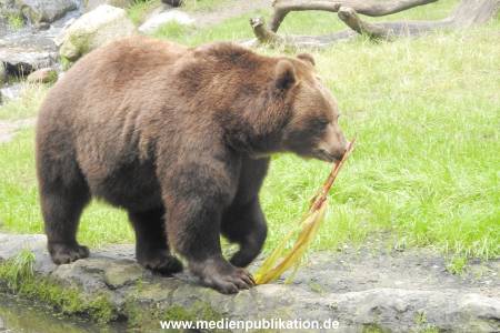 Hagenbeck 122016 039