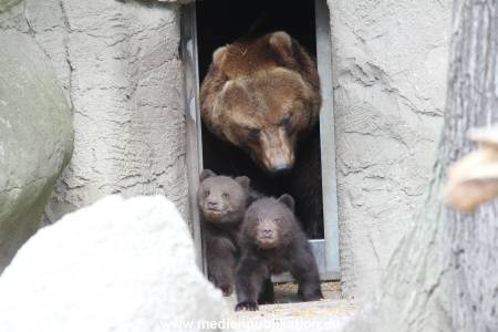 Hagenbeck 14042014 010