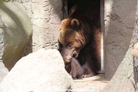 Hagenbeck 14042014 011