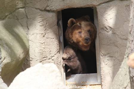 Hagenbeck 14042014 012