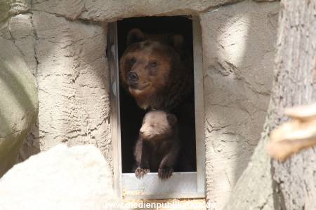 Hagenbeck 14042014 013