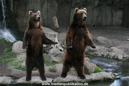 Hagenbeck 15072010 001