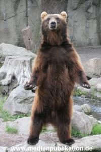 Hagenbeck 15072010 002