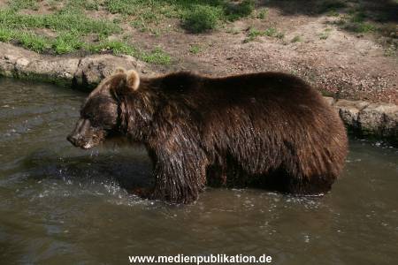 Hagenbeck 15072010 004