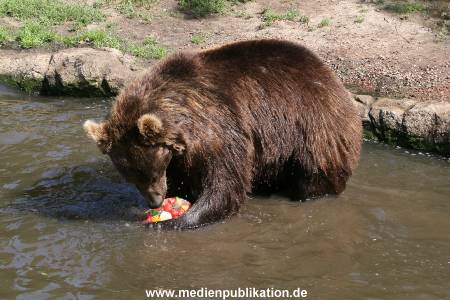 Hagenbeck 15072010 005