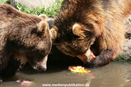 Hagenbeck 15072010 006